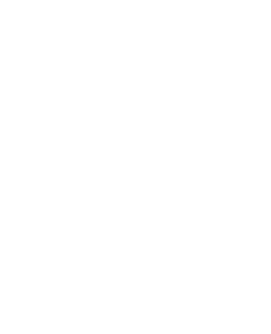 true blue logo